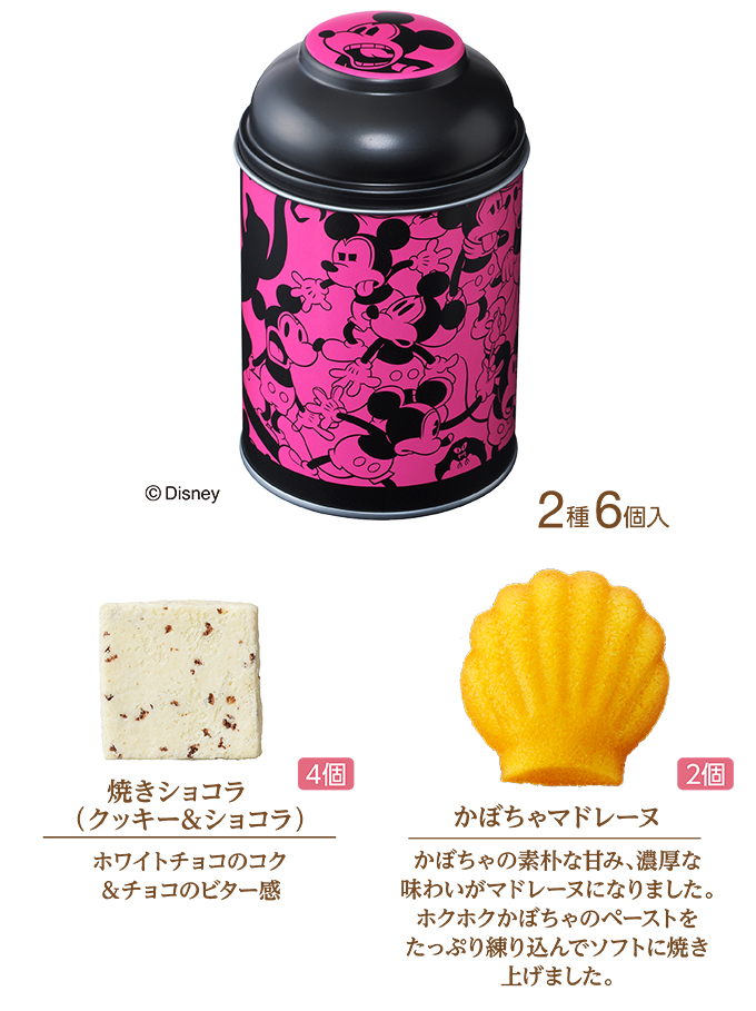 ディズニーデザイン スイーツ缶(2種6個入)