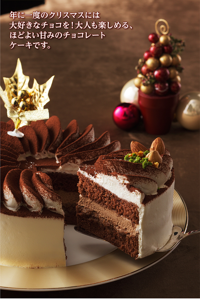 クリスマスチョコレートケーキ(5号)