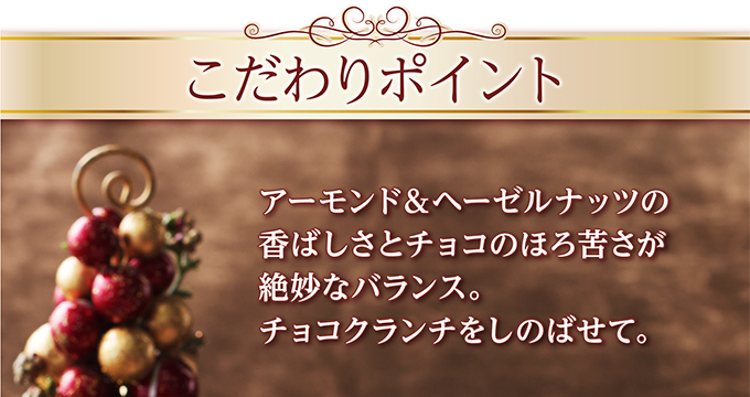 クリスマスチョコレートケーキ(5号)